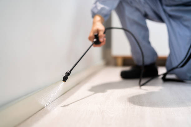 Bed Bug Pre-Treatment Preparation Assessment in Stone Mountain