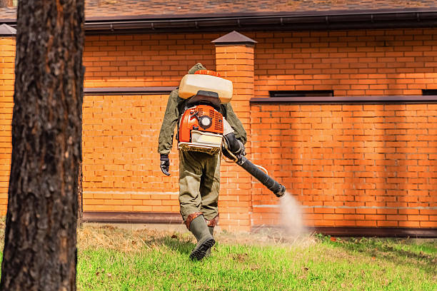 Bed Bug Clearance Verification and Documentation in Stone Mountain